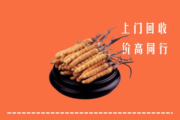 高价求购：临沂市平邑县回收散虫草